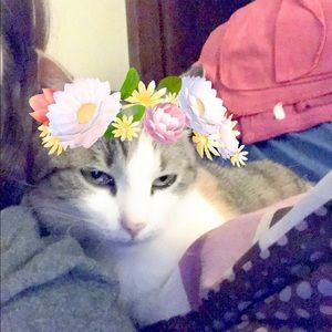 Meet your Posher, Allison